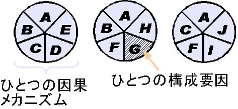 ̥ѥǥ(Rothman, 2002)