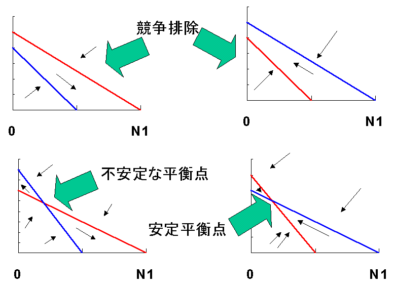 4 patterns of interspecific competitions